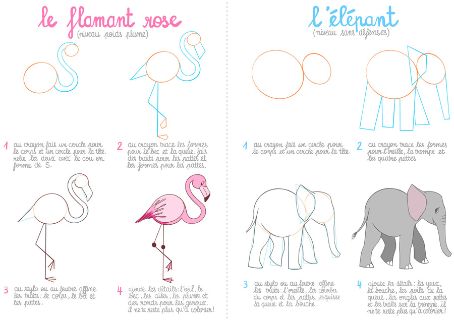 Comment dessiner des animaux (doodles tête d'animal facile) - Occuper Les  Enfants