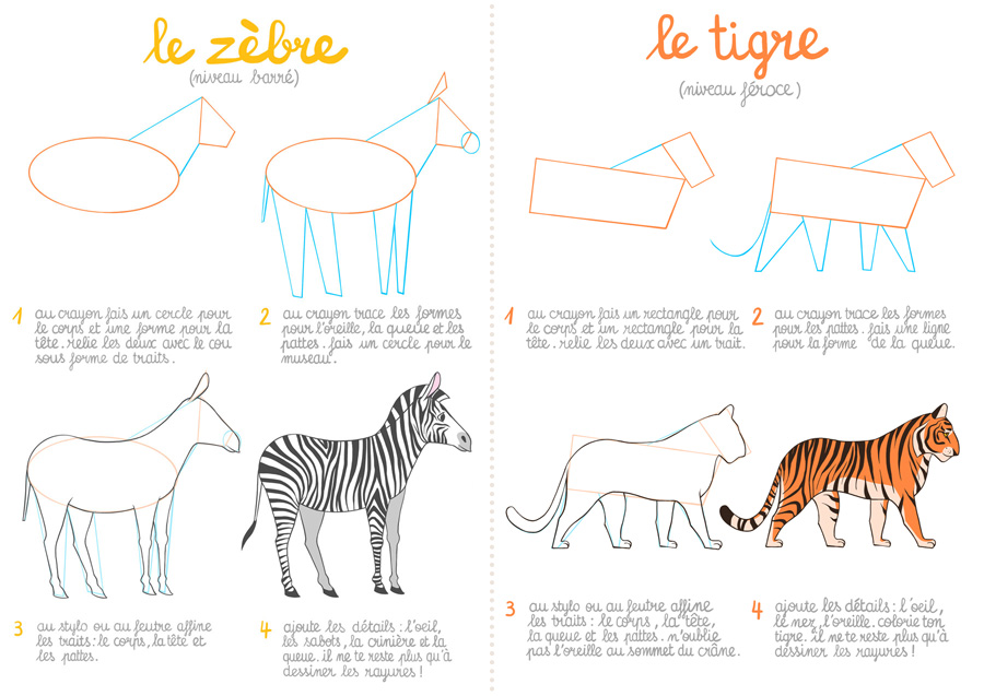 Apprendre à dessiner les animaux